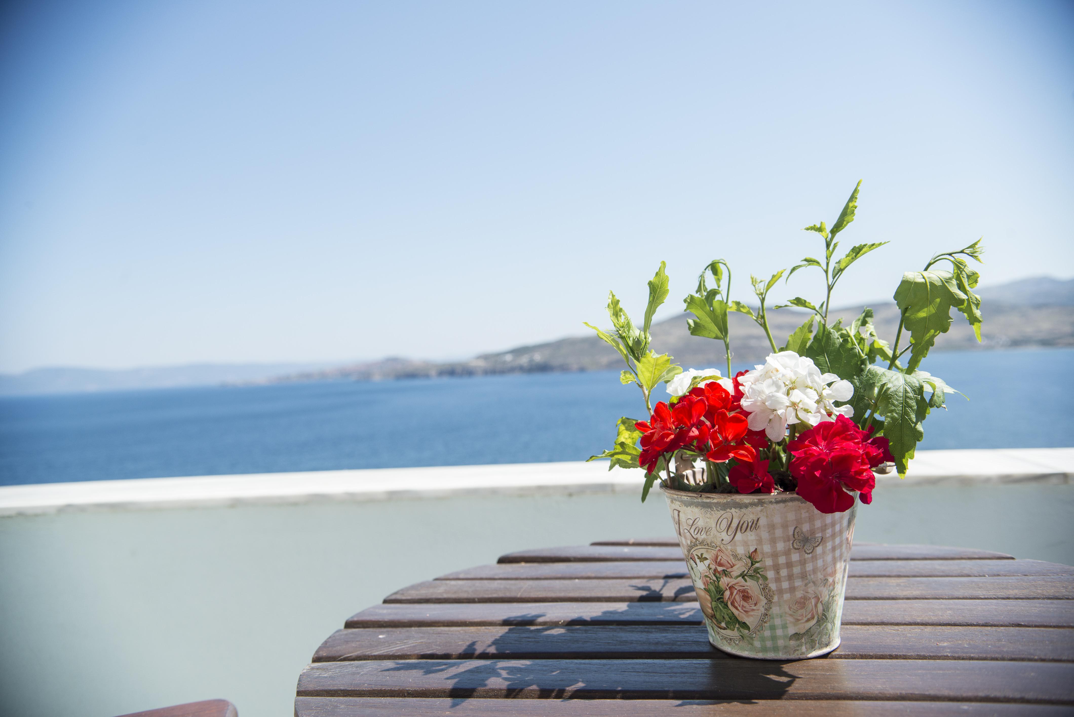 Clara Resort Петра Екстериор снимка